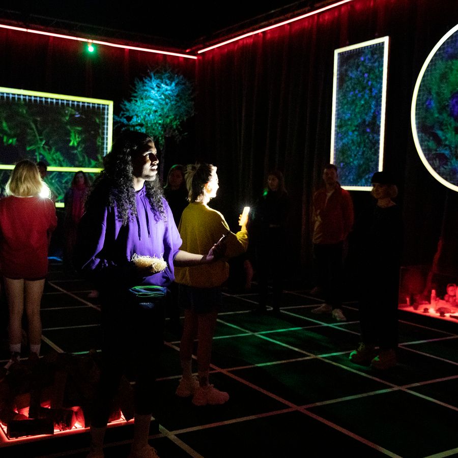 Crowd Simulation Room